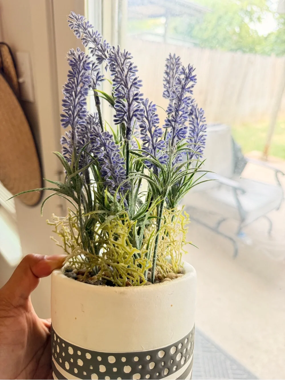 Source Unknown realistic lavender